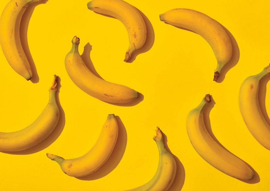 Can You Imagine a World Without Bananas?